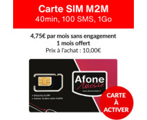 Carte SIM M2M 40min, 100 SMS, 1Go