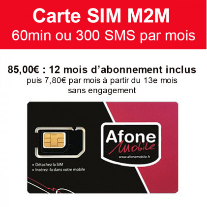 Carte SIM M2M 60min ou 300 SMS 12 mois