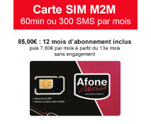 Carte SIM M2M 60min ou 300 SMS 12 mois