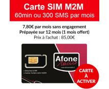 Carte SIM M2M 60min ou 300 SMS 12 mois