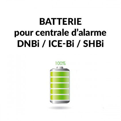 Batterie pour centrale d'alarme