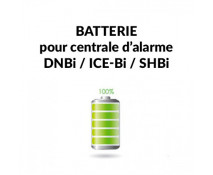 Batterie pour centrale d'alarme