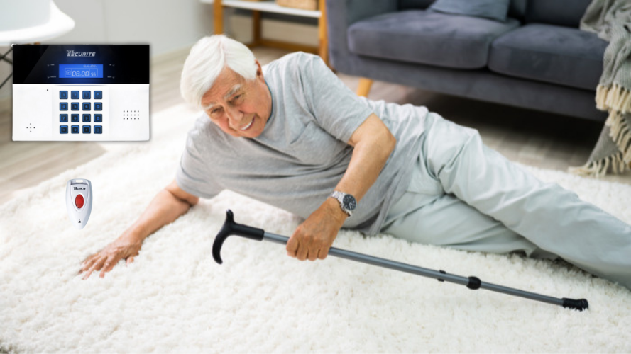 alarme sans fil ICE-B